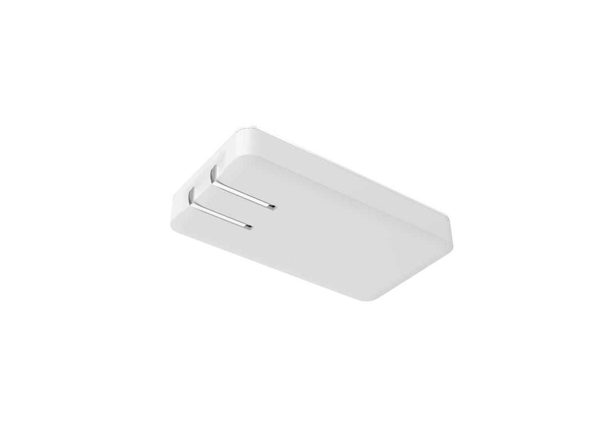Odin2/ Odin2 Mini 65w Charger